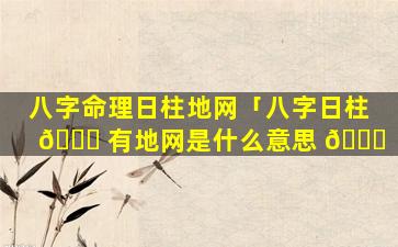 八字命理日柱地网「八字日柱 🍁 有地网是什么意思 🐛 」